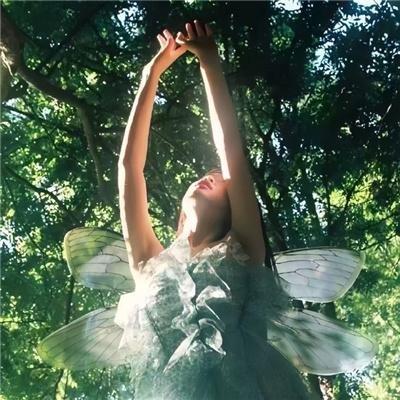 守护神之保险调查粤语